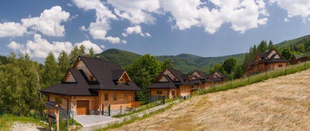 Mosorny Park Drewniane Komfortowe Domki Caloroczne Zawoja Eksteriør billede
